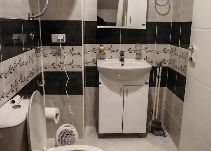 アパート Dumitraskovic ソコバニャ