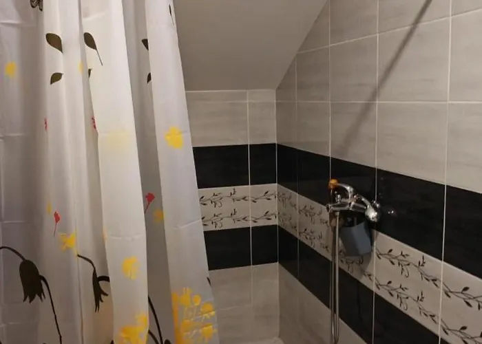 Dumitraskovic アパート *