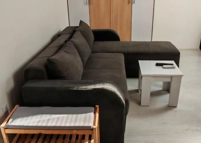 アパート Dumitraskovic *