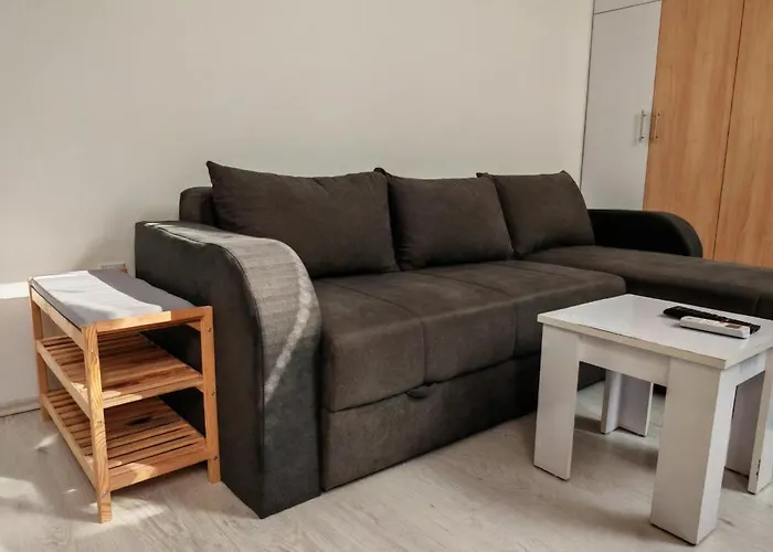 Dumitraskovic * Soko Banja